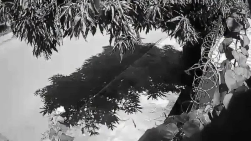 Tentativa de execução é registrada em plena luz do dia em Mato Grosso; vítima é atingida por quatro tiros