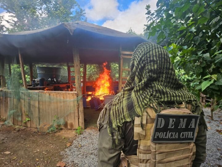 Construções ilegais em área protegida terminam em prisões e demolições em MT