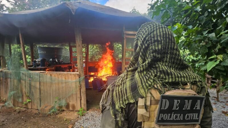 Construções ilegais em área protegida terminam em prisões e demolições em MT