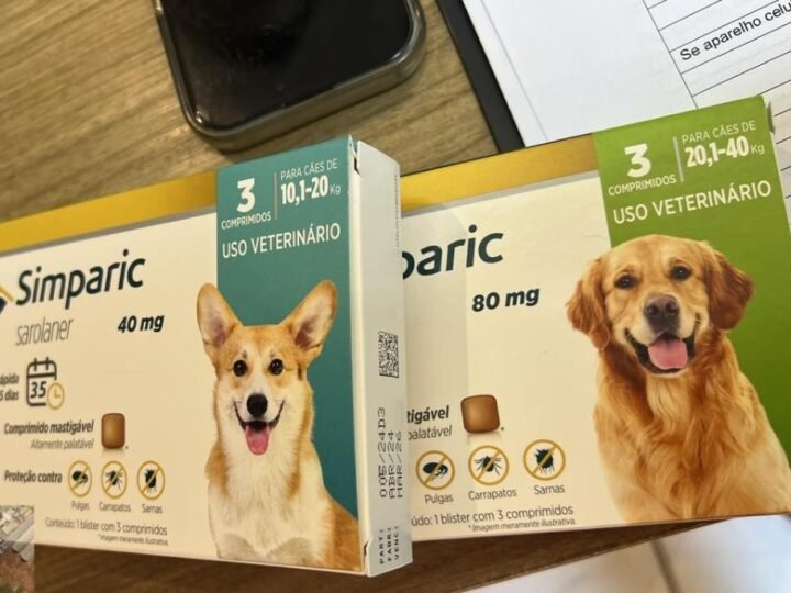 Clínica veterinária entra na mira da polícia por suspeita de maus-tratos e uso de medicamentos vencidos