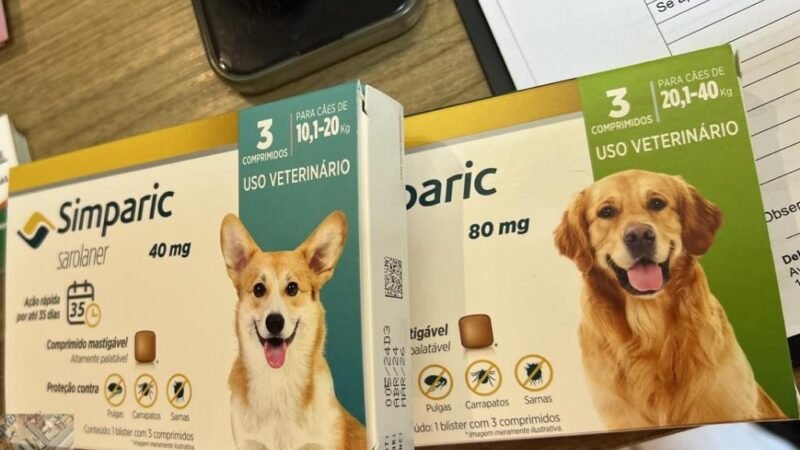 Clínica veterinária entra na mira da polícia por suspeita de maus-tratos e uso de medicamentos vencidos