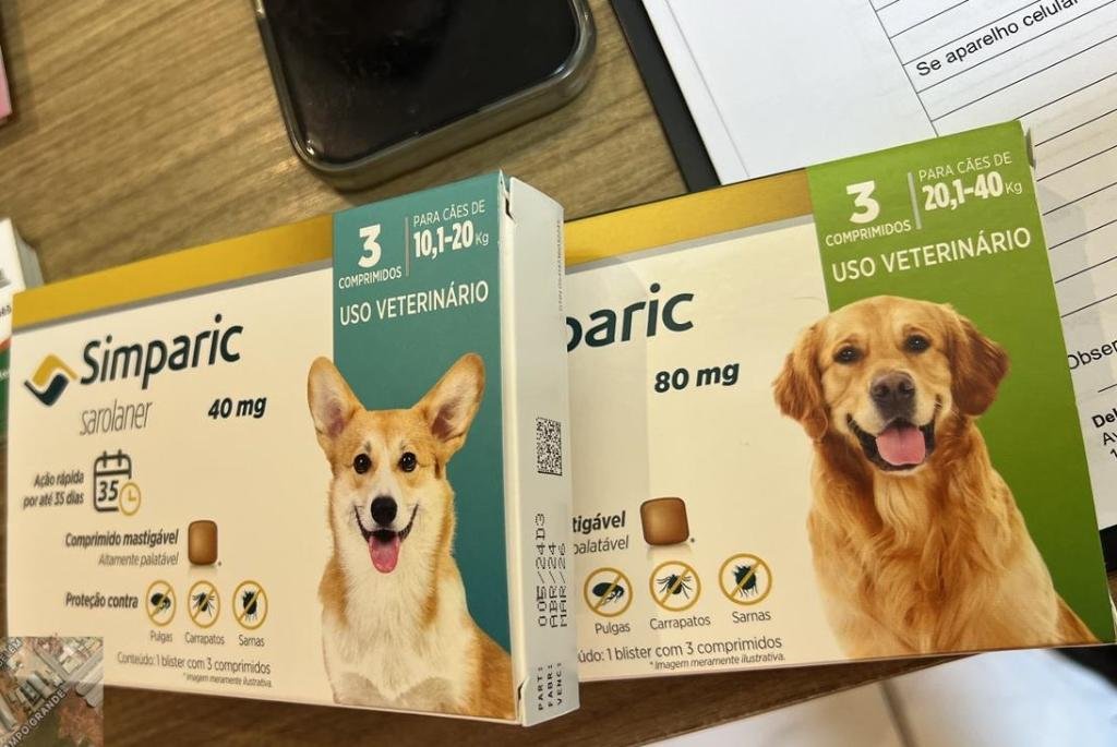 Clínica veterinária entra na mira da polícia por suspeita de maus-tratos e uso de medicamentos vencidos