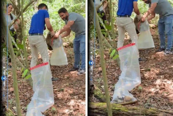 Trabalhadores encontram ossada perto de parque em Lucas do Rio Verde