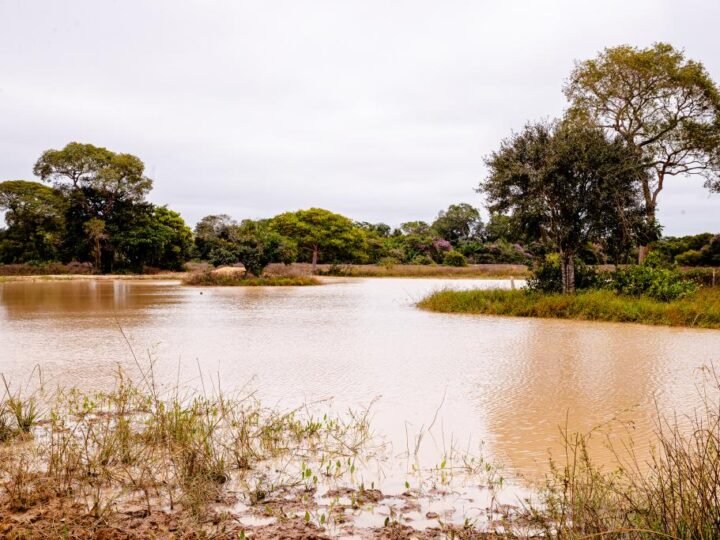 PESCA: Período de defeso da Piracema será entre 1º de outubro de 2026 e 31 de janeiro de 2027 em MT