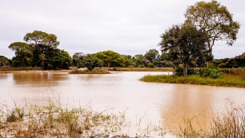 PESCA: Período de defeso da Piracema será entre 1º de outubro de 2026 e 31 de janeiro de 2027 em MT