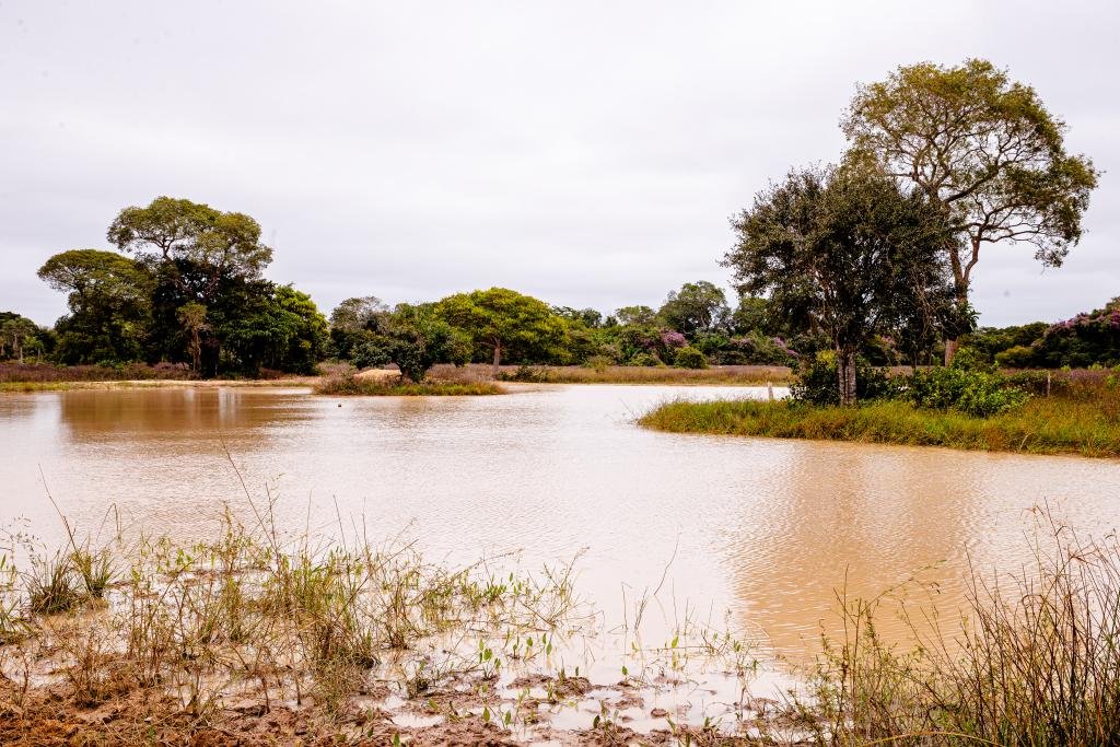 PESCA: Período de defeso da Piracema será entre 1º de outubro de 2026 e 31 de janeiro de 2027 em MT