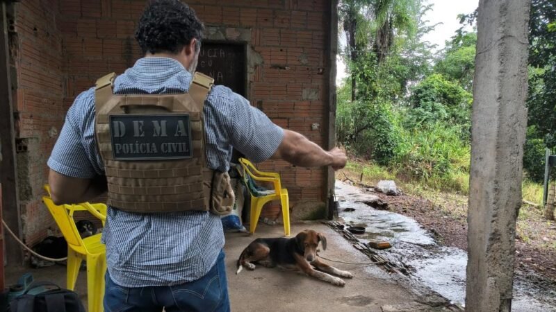 Homem é identificado e confessa crime brutal de maus-tratos contra animal