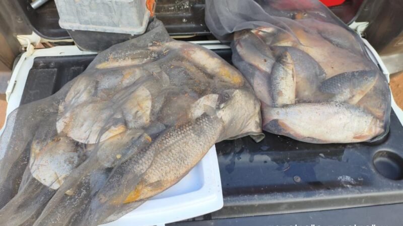 Idoso tenta fugir de bloqueio e acaba preso com mais de 13 quilos de pescado irregular