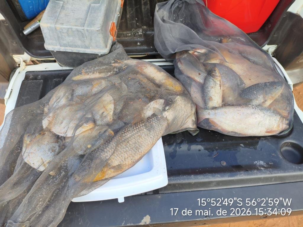 Idoso tenta fugir de bloqueio e acaba preso com mais de 13 quilos de pescado irregular