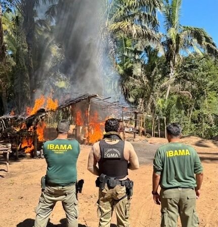 Operação destrói acampamentos ilegais e mira invasores em área de preservação