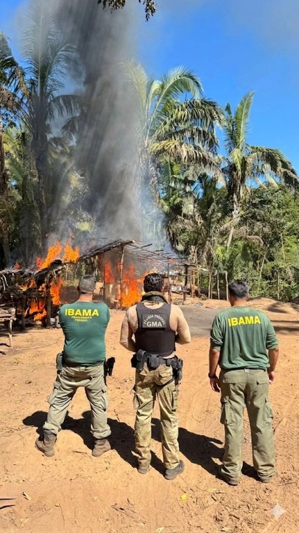 Operação destrói acampamentos ilegais e mira invasores em área de preservação
