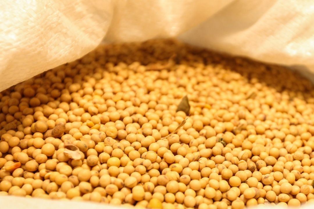Soja tem previsão de novo recorde na série histórica