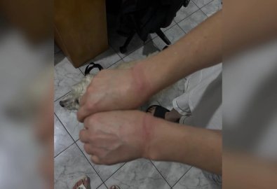 Idosa sofre tentativa de estupro durante roubo em casa por trio