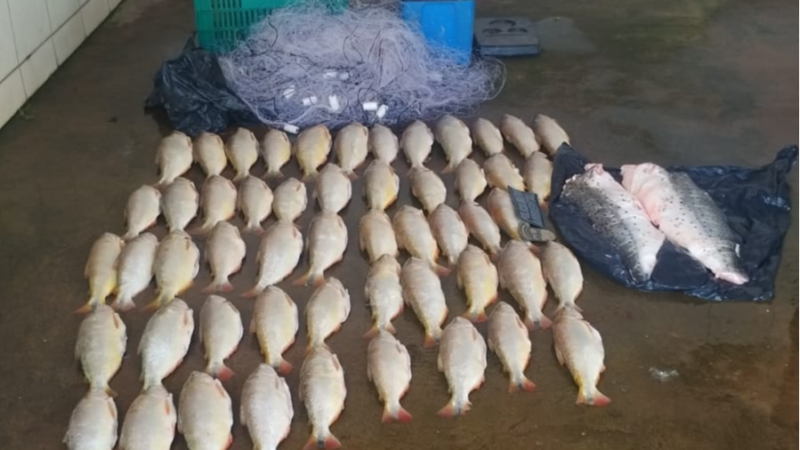 Peixe proibido escondido em caminhão-tanque surpreende polícia e homem é preso em flagrante