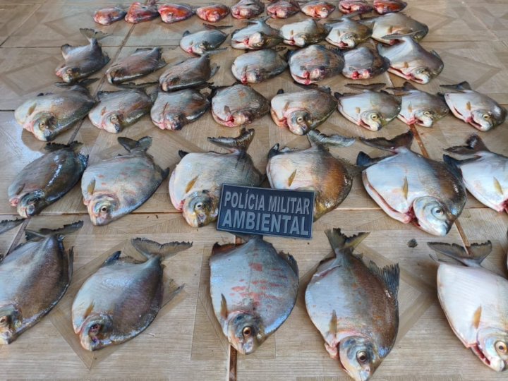 PM Ambiental apreende mais de 30 kg de pescado irregular e homem acaba preso
