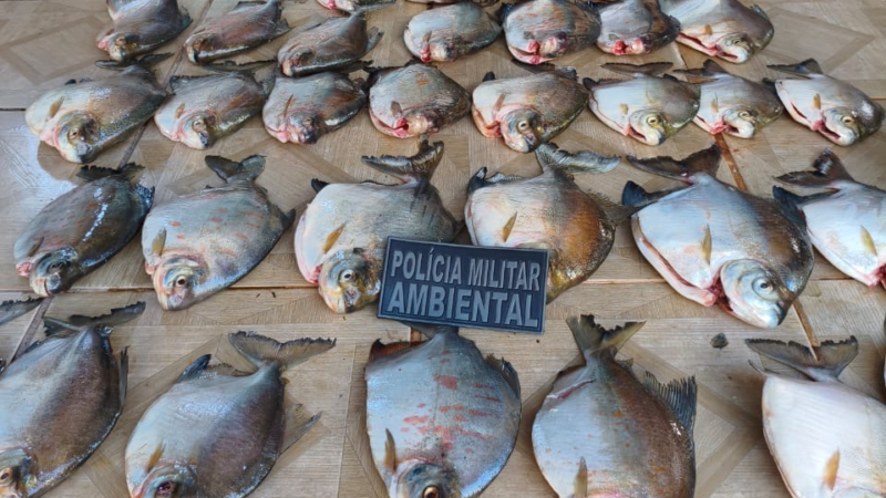 PM Ambiental apreende mais de 30 kg de pescado irregular e homem acaba preso
