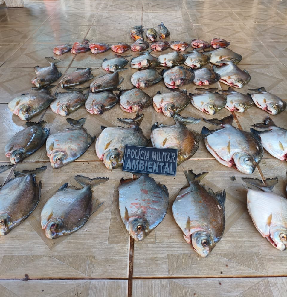 PM Ambiental apreende mais de 30 kg de pescado irregular e homem acaba preso