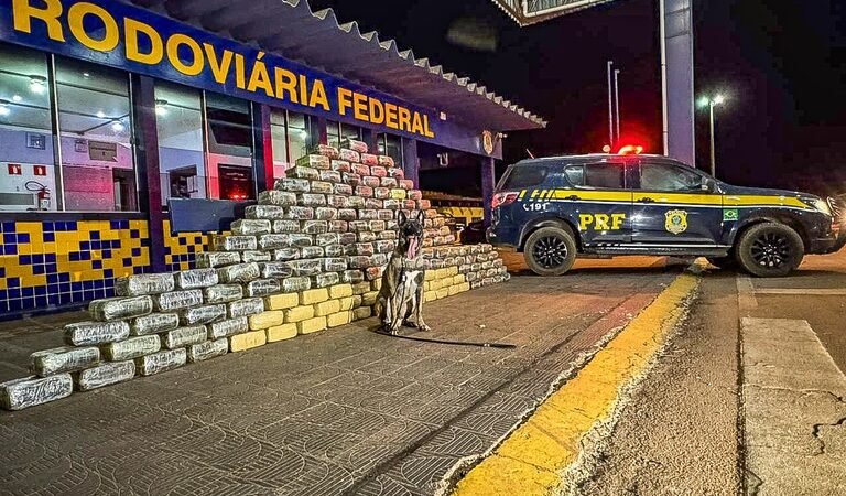 Cão farejador encontra fundo falso em caminhão e revela meia tonelada de droga