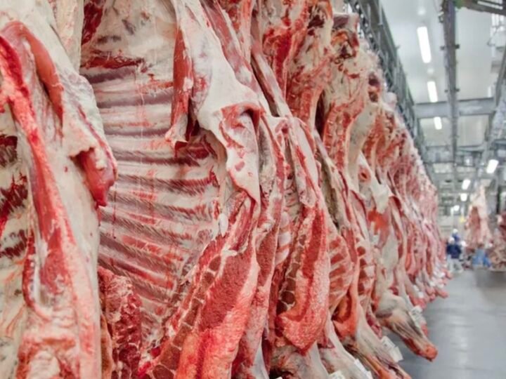 União Europeia veta compra de carne brasileira a partir de setembro