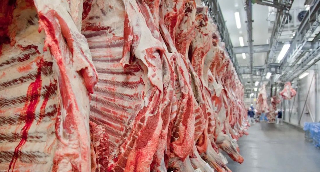 União Europeia veta compra de carne brasileira a partir de setembro