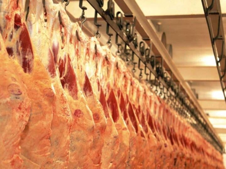 Abate de gado em frigoríficos de Mato Grosso cai 9,3%