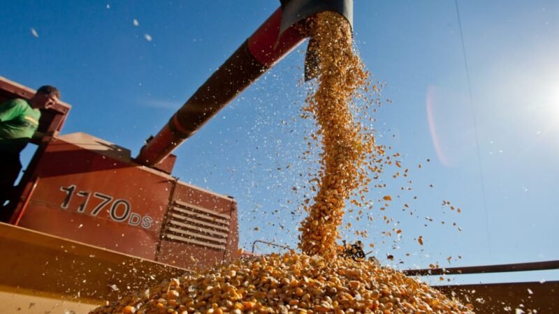 Economia do Sul avança 3,1% em 2025