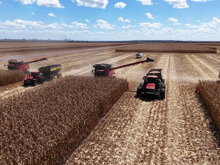 Cenário de incertezas reduz oferta de soja em Mato Grosso