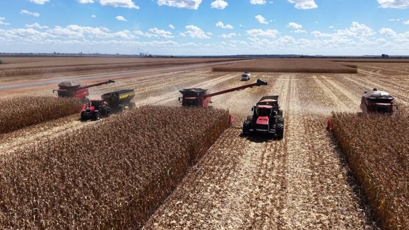 Cenário de incertezas reduz oferta de soja em Mato Grosso