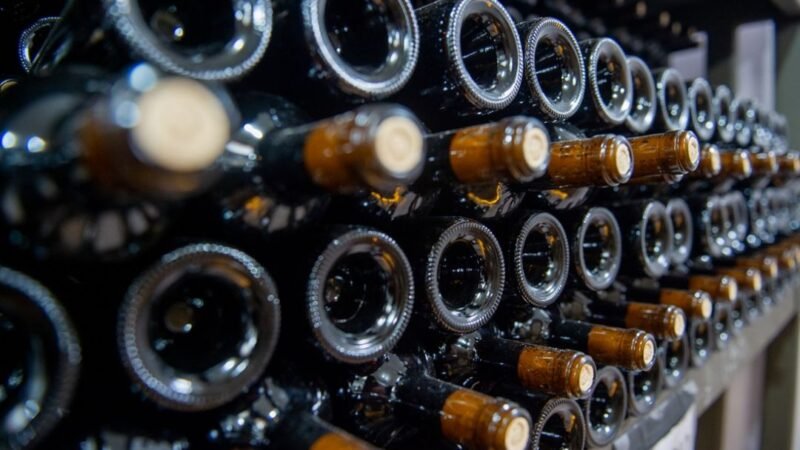 Número de vinícolas cresceu 29% em Santa Catarina desde 2020