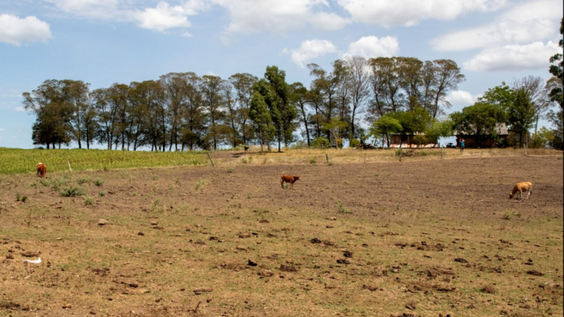 OMM prevê aquecimento acima de 1,5°C até 2030