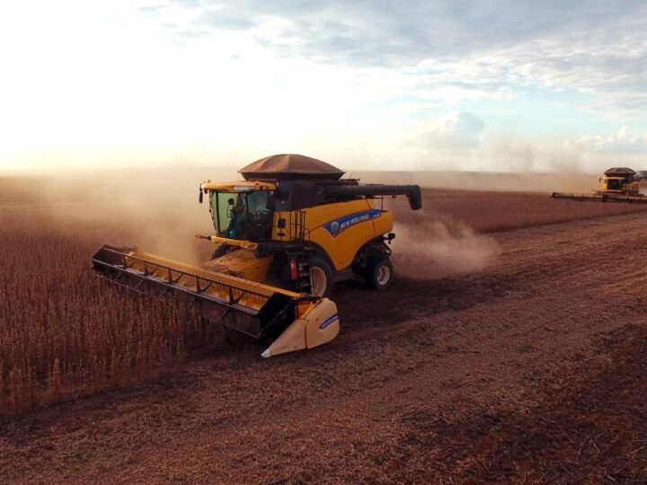Mato Grosso concentra 15% da produção agropecuária do Brasil; R$ 206 bilhões