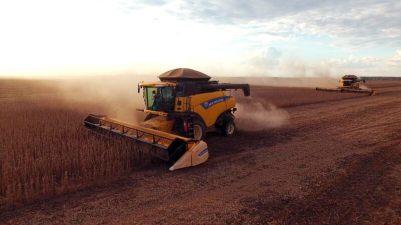 Mato Grosso concentra 15% da produção agropecuária do Brasil; R$ 206 bilhões