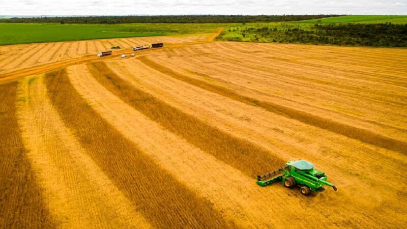 Produção mato-grossense de soja lidera cenário nacional pela 26ª safra consecutiva; 51,6 milhões de toneladas