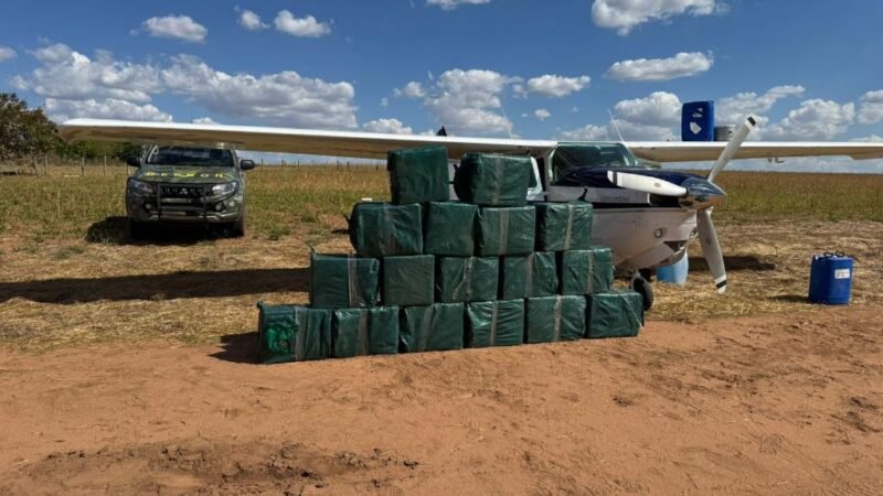 Forças de segurança causam prejuízo milionário ao tráfico com apreensão recorde de drogas