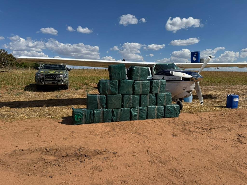 Forças de segurança causam prejuízo milionário ao tráfico com apreensão recorde de drogas