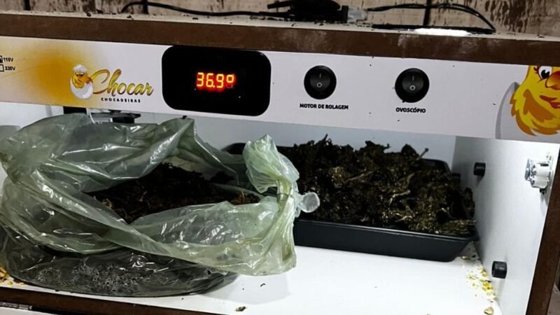 Operação mira facção e expõe rede de tráfico com armas, drogas e imóveis usados como base criminosa