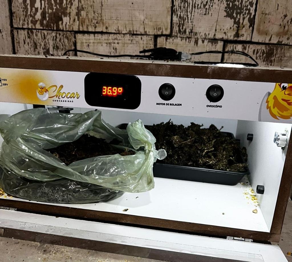 Operação mira facção e expõe rede de tráfico com armas, drogas e imóveis usados como base criminosa