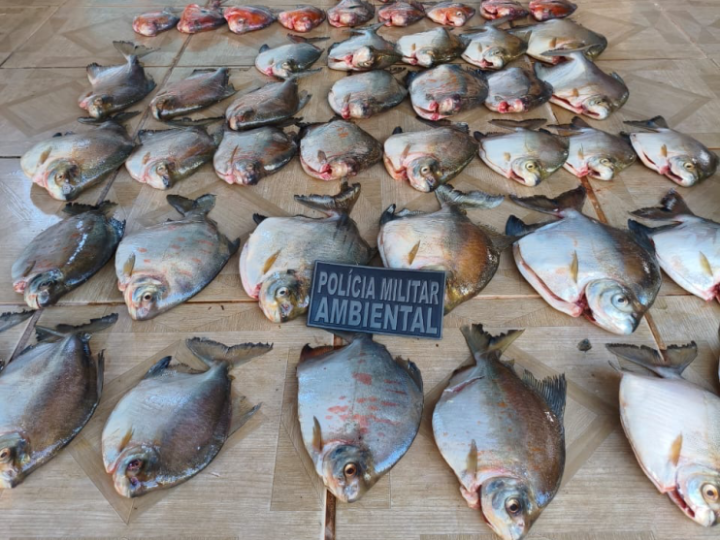 Batalhão Ambiental da PM prende homem por armazenar pescado ilegal em Nova Canaã do Norte