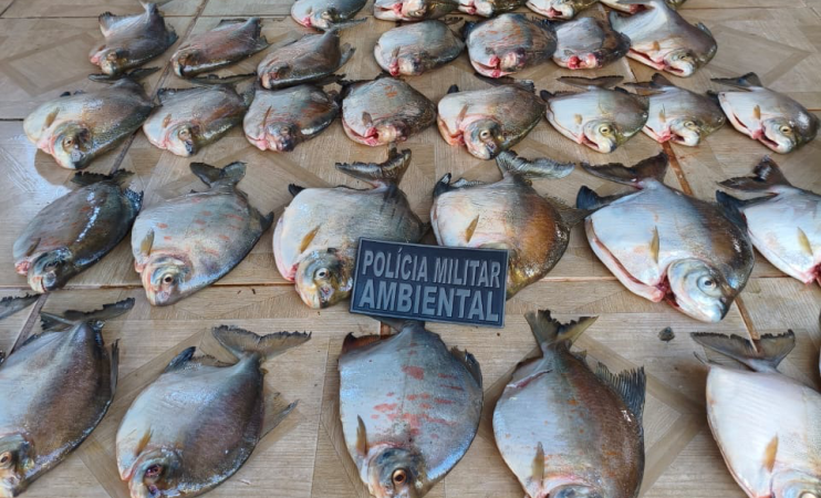 Batalhão Ambiental da PM prende homem por armazenar pescado ilegal em Nova Canaã do Norte