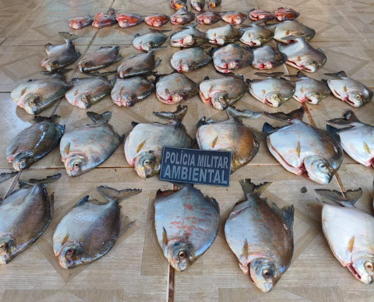 Batalhão Ambiental da PM prende homem por armazenar pescado ilegal em Nova Canaã do Norte