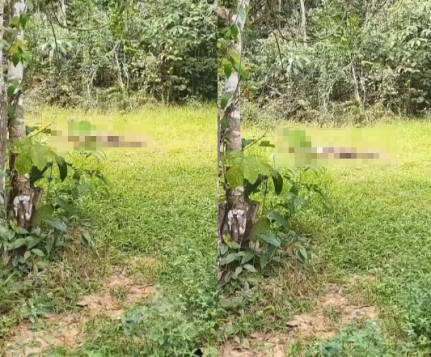 Desaparecida há uma semana, corpo de jovem é encontrado em mata do interior