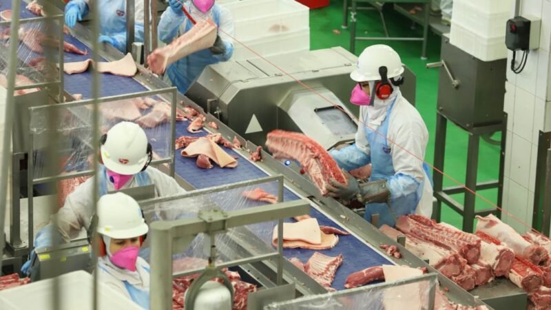 Brasil promete reverter veto da UE a carnes e animais