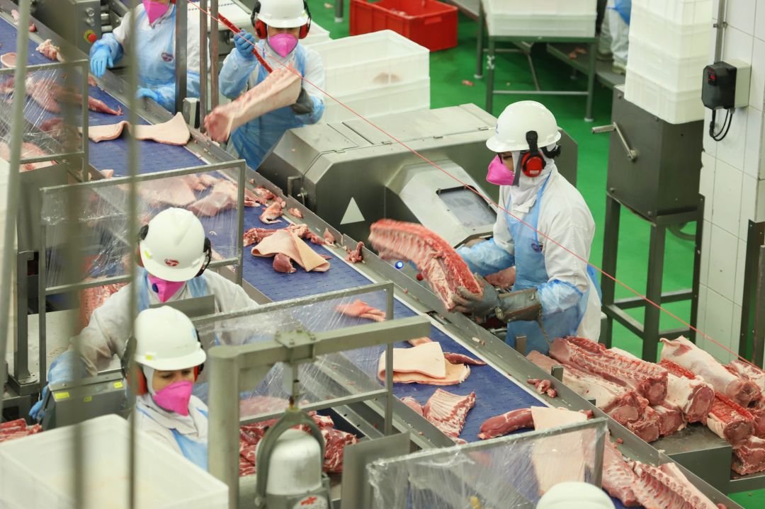 Brasil promete reverter veto da UE a carnes e animais