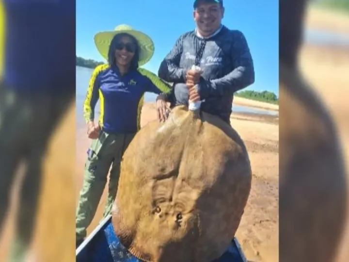 PESO PESADO: Pescadora leva susto ao fisgar arraia de 50 kg em rio e reação viraliza (Vídeo)