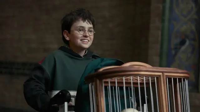 HBO renova série de Harry Potter para nova temporada antes mesmo de estreia