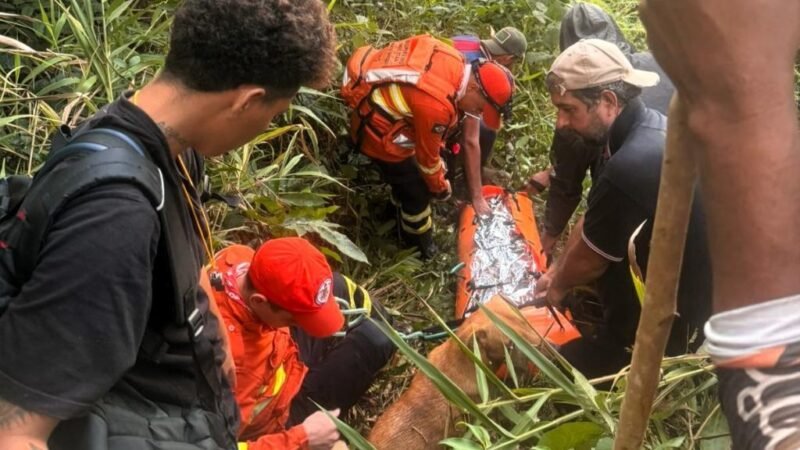 Drama na mata tem final surpreendente após dias de buscas intensas e resgate desafiador