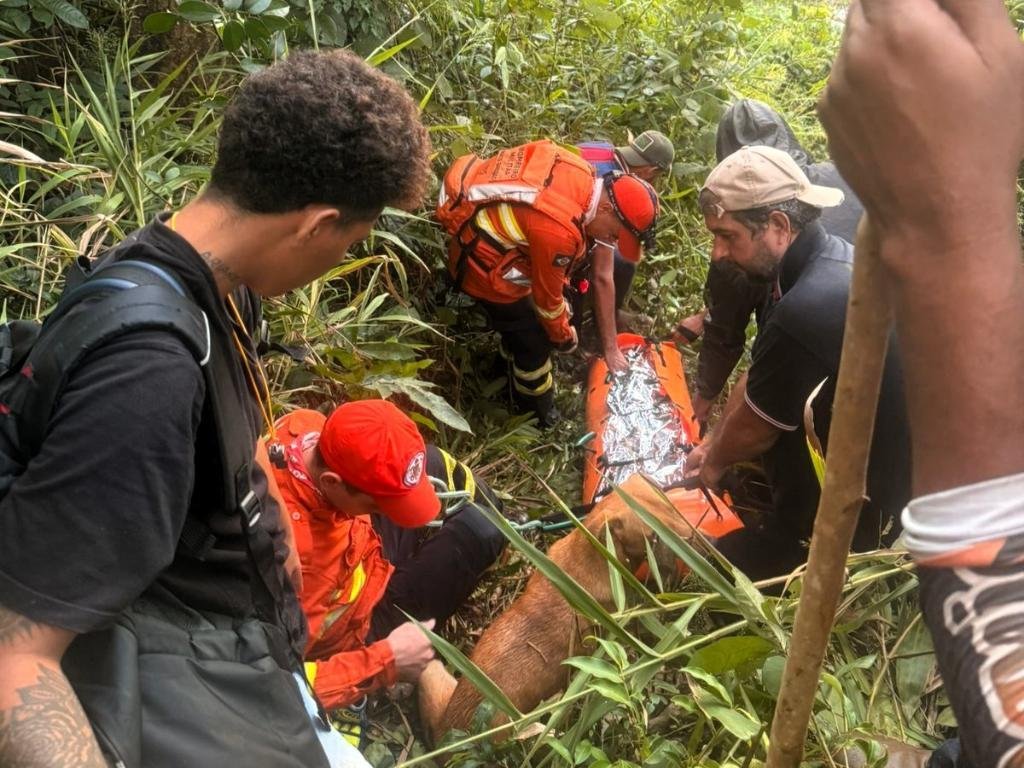 Drama na mata tem final surpreendente após dias de buscas intensas e resgate desafiador