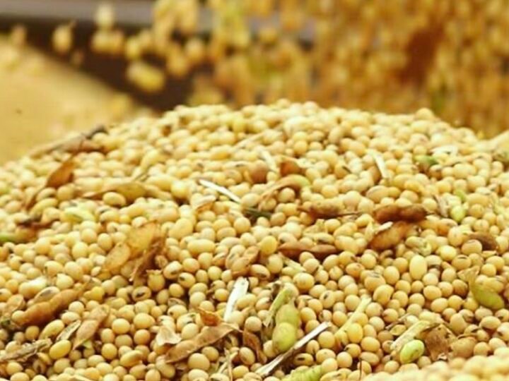 Venda da safra de soja em Mato Grosso avança; preço médio baixa