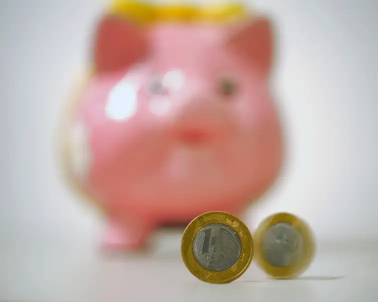 Tesouro Nacional lança título com aplicação a partir de R$ 1