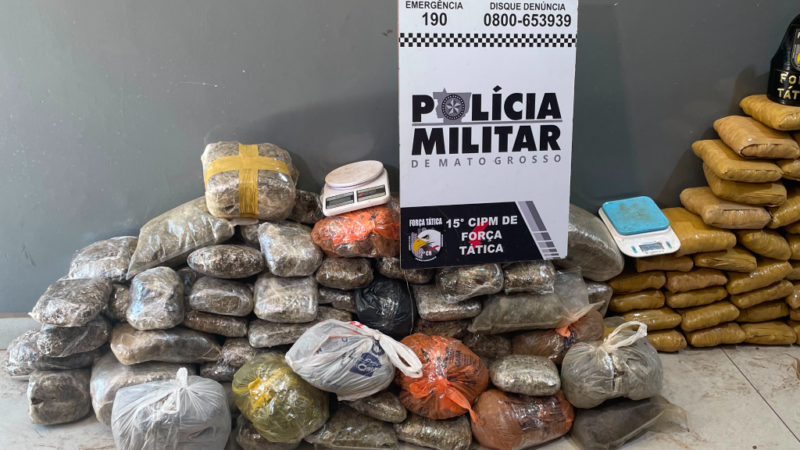 Carga milionária de maconha é descoberta enterrada em mata; três são detidos